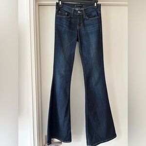 Flying Monkey Mid Rise Flare Jeans